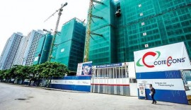 Ricons yêu cầu mở Thủ tục phá sản đối với Coteccons, Tòa án bác đơn.